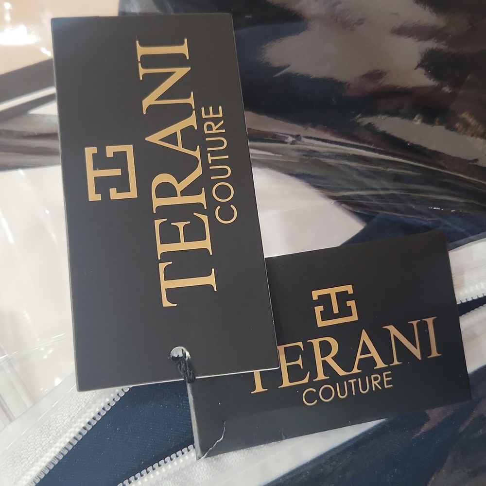 Terani Formal Evening  Gown / Mother Of The Bride - Picture 6 of 6